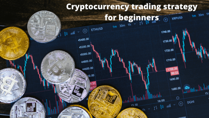 Cryptocurrency trading strategy for beginners 2022 How to trade cryptocurrency and make profit